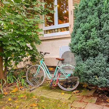Homestay szállás Ravissante Petite - - Gare Colmar